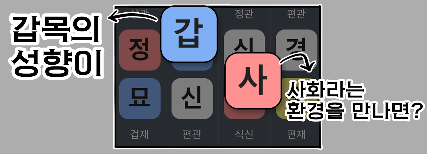 사주백과 이미지
